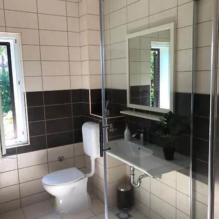 Apartment Vulic *
